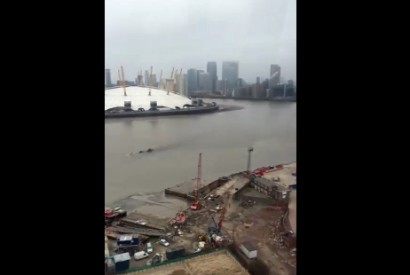 Vídeo regista imagem invulgar de suposta criatura no rio em Londres