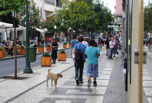 Taxa de desemprego na Madeira desce mas continua a ser a mais alta do País