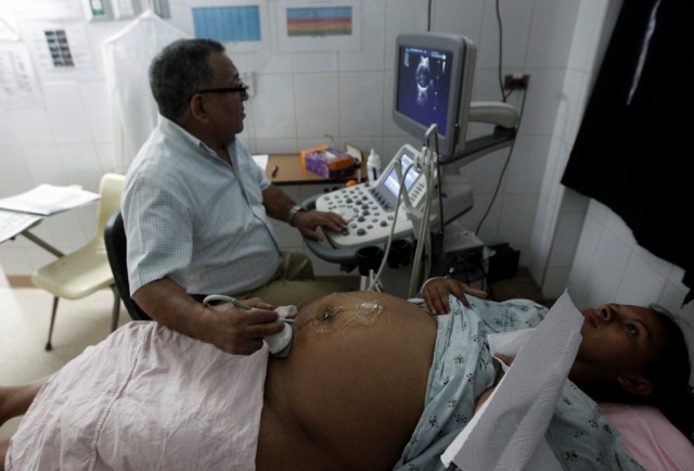 Estudos em ratos mostram que o vírus Zika atravessa a placenta e infecta o feto