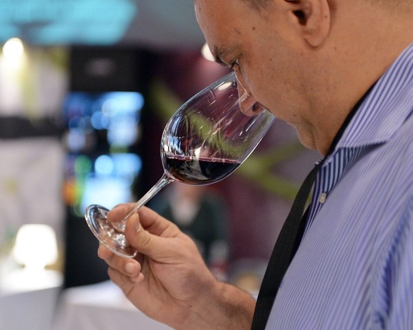 Prescritores franceses em visita à Região Demarcada da Madeira para conhecer vinhos