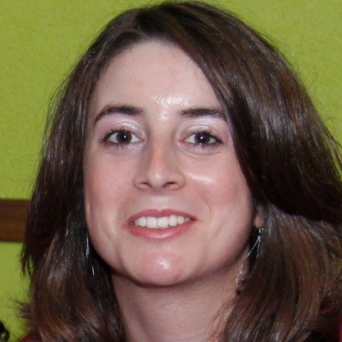 PPM-Madeira defende energias renováveis