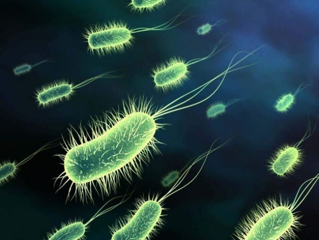 EUA detectam primeiro caso de superbactéria resistente aos antibióticos