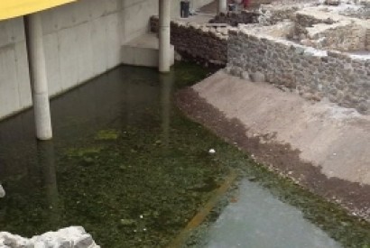Bloco denuncia viveiro de mosquitos no Funchal
