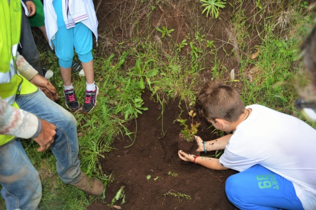 Ribeira Brava promove sensibilização ambiental junto dos mais novos