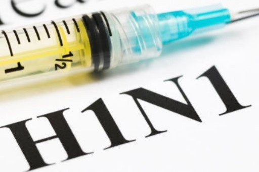 Sobe para 29 número de mortos devido a surto de gripe A na Bolívia