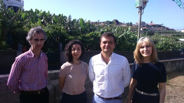 PSD acusa Câmara Municipal do Funchal de adoptar  “política da mentira”