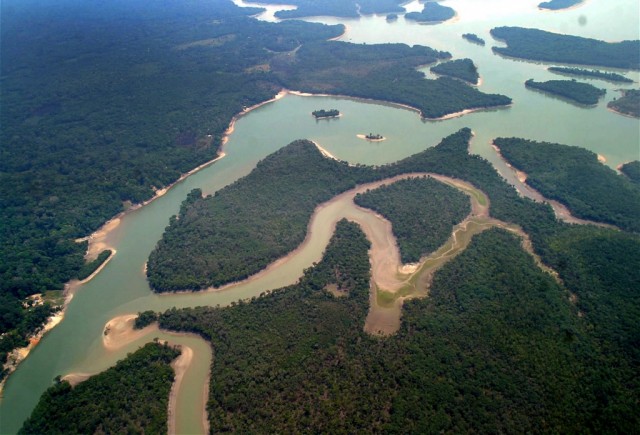 Cientistas alertam para ameaça a 745 espécies na Amazónia devido ao petróleo