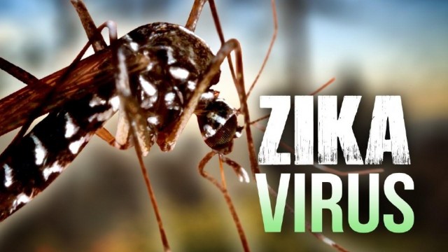 Perú declara estado de emergência devido ao vírus Zika