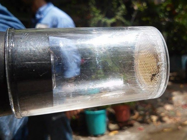 Zika Brasil confirma 1.709 casos de microcefalia