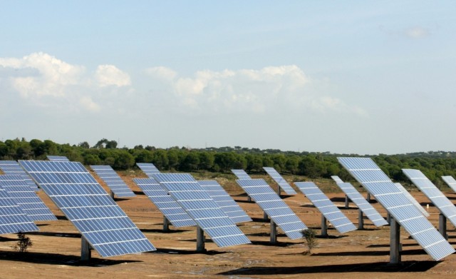 Procura de bens e serviços de consumo de energia é elevada nos jovens