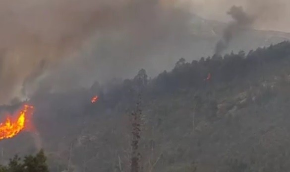 Incêndio florestal propaga-se de forma suspeita