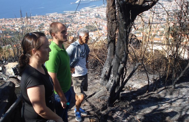 JPP acusa Protecção Civil de falhas de extrema gravidade