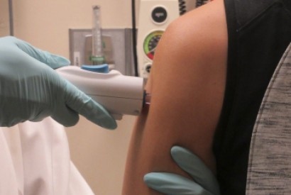 Vírus Zika também pode danificar células de cérebro adulto