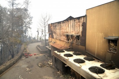 Lisboa cria linha de crédito de 12 milhões  para recuperação económica pós incêndios