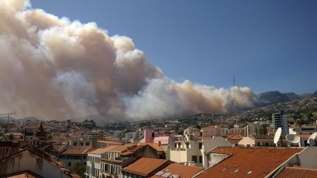 PTP quer ouvir Albuquerque, Cafôfo e Neri sobre incêndios