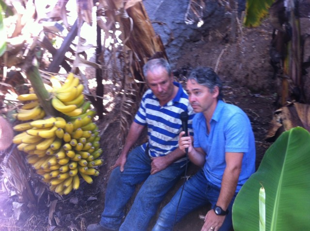 JPP testemunha prejuízos dos bananicultores devido a alegado atraso da GESBA