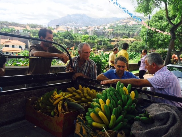 JPP protesta contra forma como a GESBA tem tratado os bananicultores