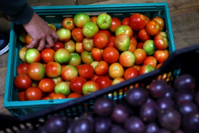 Cooperativa salva em três meses 14 toneladas de fruta feia no Porto e Gaia