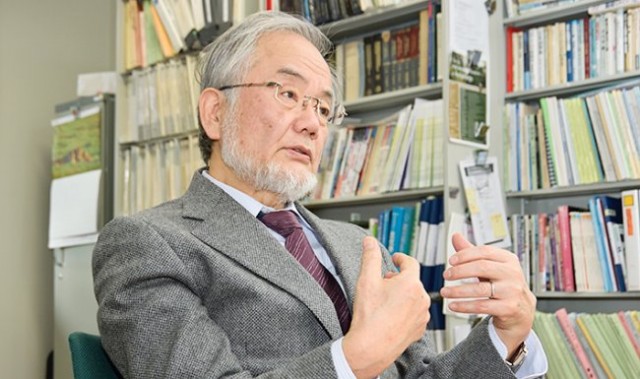 Nobel da Medicina atribuído ao japonês Yoshinori Ohsumi