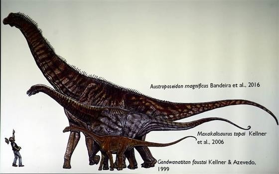Cientistas anunciam descoberta de fóssil do maior dinossauro do Brasil