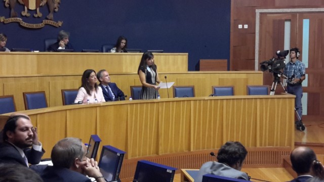 Governo quer esclarecer de uma vez por todas se é possível utilizar meios aéreos no combate a incêndios