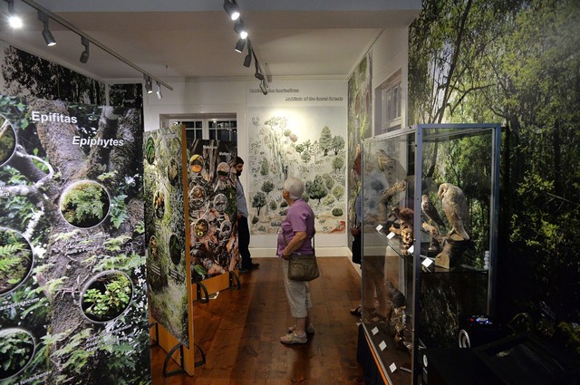 Portal único vai ser lançado para mostrar Museus da Madeira ao mundo