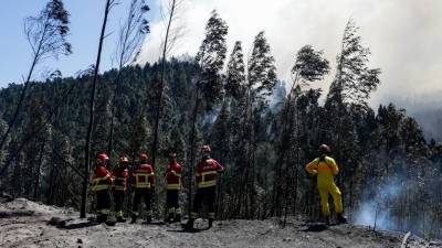 71 incêndios ao longo do dia mobilizaram 2.500 operacionais