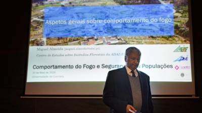 Ainda falta trabalho de preparação da floresta, diz investigador Xavier Viegas