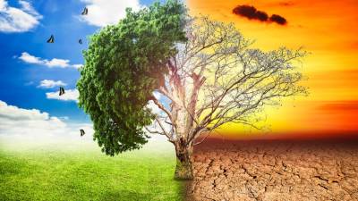 Alterações climáticas forçam 20 milhões de pessoas por ano a deixarem as suas casas