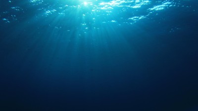 Alto mar precisa de intervenção urgente para ser protegido, alertam cientistas