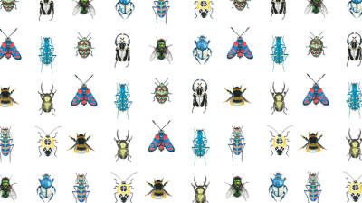 Alunos do Atelier de Expressão Plástica de Machico inauguram exposição a 2 de Julho