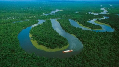 Amazónia peruana perdeu 156 mil hectares de selva em 2015