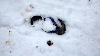 Amnistia Internacional alerta que refugiados estão a morrer de frio na Grécia