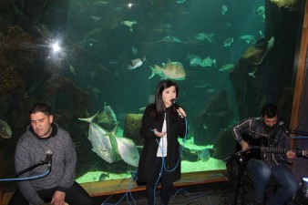 Aquário da Madeira recebeu concerto