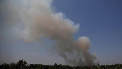 Argentina e Chile oferecem ajuda ao Brasil e Bolívia para combater fogos na Amazónia