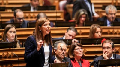 Artistas madeirenses abrangidos pelos apoios nacionais à internacionalização