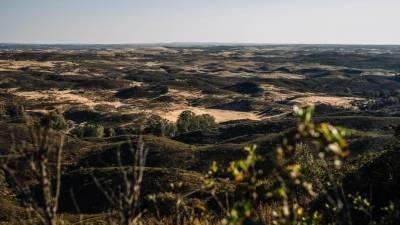 “Ausência, indefinição, desorientação e equívocos” marcam políticas de conservação da natureza