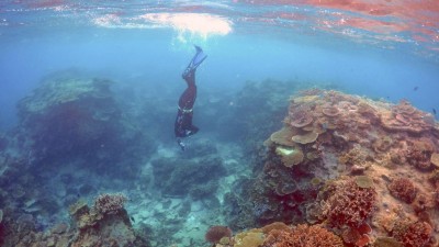 Austrália aprova controverso projeto mineiro perto da Grande Barreira de Coral