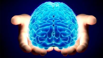 Avanços nas neurociências podem ser aplicados em pessoas saudáveis