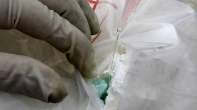 Brasil desmantela rede de narcotráfico com ligações à Europa