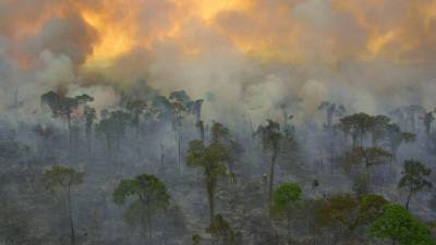 Brasil lança campanha no Dia da Amazónia para recuperar imagem após incêndios
