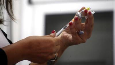 Brasil registou 81 mortes por febre-amarela desde Julho de 2016