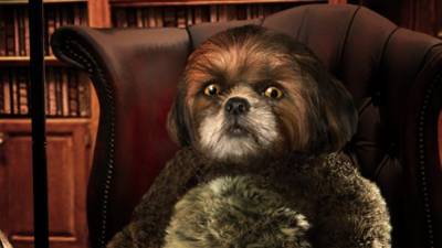 Bruno Aleixo chega aos cinemas em Janeiro de 2020