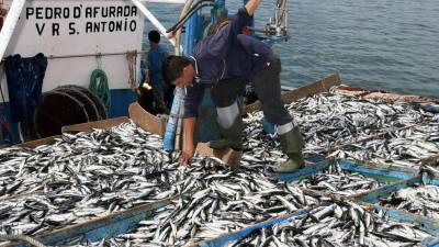 Bruxelas corta fundo das pescas para 6,14 mil milhões no orçamento 2021-2027