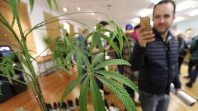 Californianos fazem fila para serem os primeiros a comprar legalmente canábis