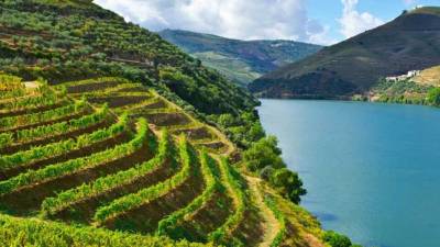 Canadá comprou 22,6 milhões de euros de vinhos do Douro em 2017