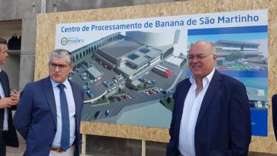 Centro de Processamento de Banana em São Martinho ficará pronto até ao Verão de 2021