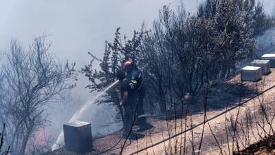 Cerca de 500 pessoas retiradas e mosteiro evacuado devido a incêndio na Grécia