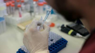Cerca de 90% dos casos de malária são na África subsaariana