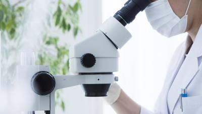 China lança centro de investigação para clonar primatas